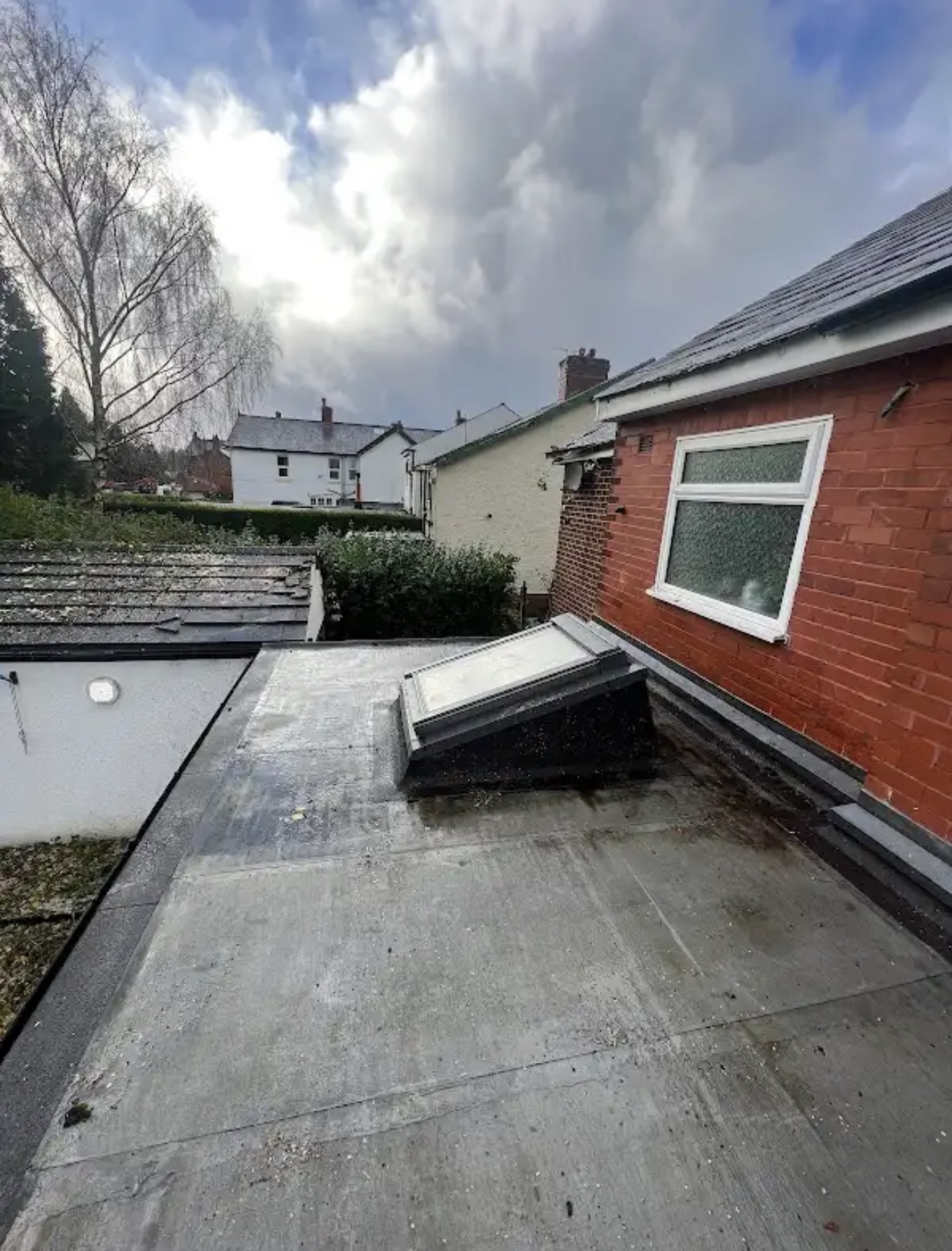 Outbuilding roof cleared after the fallen tree was removed